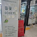 들꽃이야기 체험 행사 후기