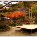 야생화펜션 이미지