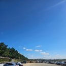 판교일등공인중개사사무소 | 충남 아산 1박2일여행/곡교천은행나무길,외암민속마을,아산지중해마을,아산온양온천시장