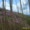 송광사식당 이미지