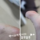 홍삼발관리 네이버블로그