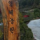 인혜농원 이미지