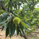 계수농장 이미지