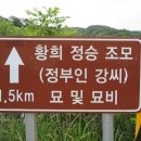 정부인 강씨 묘역 및 석물 네이버블로그
