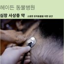 선릉동물병원 이미지
