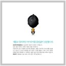 모비딕컴퍼니 네이버블로그