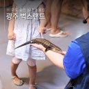 광주실내동물원 벅스랜드 직접 만져볼 수 있는 동물체험장