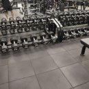 헤일로짐 피트니스 판교점 이미지