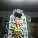 꽃따라기 네이버블로그