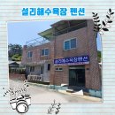 설리마을2 이미지