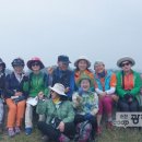 에코식물 생태도감 이미지