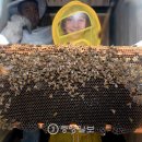 허니팩토리 이미지