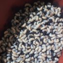 장수유기질 이미지