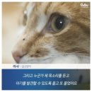마샤 이미지