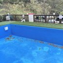 놀멍애견펜션 이미지