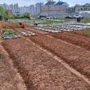 정돈농장 이미지