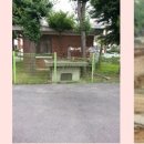 적금노인정 앞 이미지