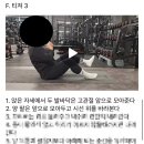 주)엠엑스 이미지