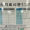 서동통돼지 이미지
