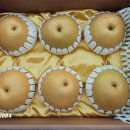 금촌1동 행정복지센터 이미지