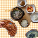 묵호역 맛집 무코문어1936과 오뚜기칼국수 다녀온 후기 ft 대게빵
