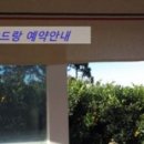 드랑드랑 이미지