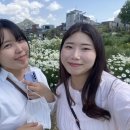 푸르릇 이미지