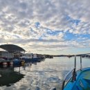 황금좌대 이미지