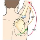 행복한경희한의원 이미지