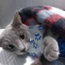 길동물병원 이미지