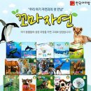 자연책사랑 이미지