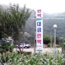 대금민박