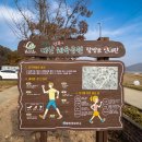 대산체육공원 이미지