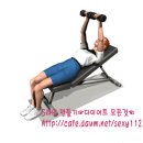 덤벨 인클라인 체스트 프레스 (Dumbbell Incline Chest Press) - 가슴 이미지