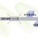 샤인코트