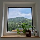 숲속에하루민박 이미지