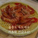 독도꽃새우 | 울릉도 독도새우 맛집 종류 가격 천금수산 꽃새우