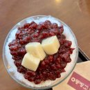 눈꽃팥빙수동빙고