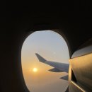 둥이목장 이미지