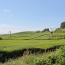 서광리-5 이미지