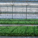 웅포농장 이미지