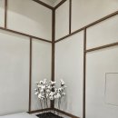 365차한의원 이미지