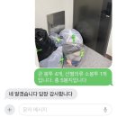 옷사유 | 판다헤이 옷 판매 후기(헌 옷 판매, 정산 과정 총정리)