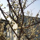 연흥농장 이미지