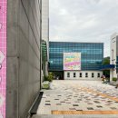 시립중랑청소년수련관 | [서울 평일 자유수영] 중랑구 수영장, 망우청소년센터 자유수영 후기