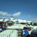 미니스톱 마산자산점 | 나고야 근교여행 코스 히다 다카야마 시라카와고 추천 포토존 일일버스투어 유투어버스