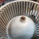 평화로 R 이미지