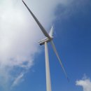 대관령목장 이미지