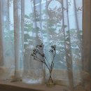 블루메디 이미지