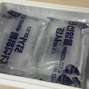 내돈내산 유투버 입큰언니 먹방 동광수산 오징어 통찜 후기 너무 느끼해요